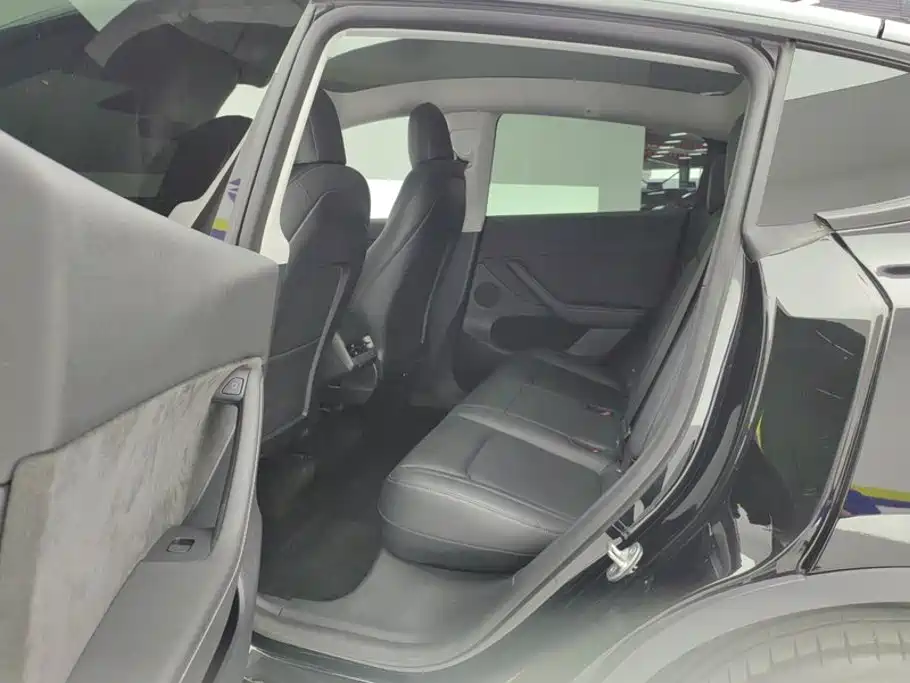 Tesla Model Y — миниатюра 11