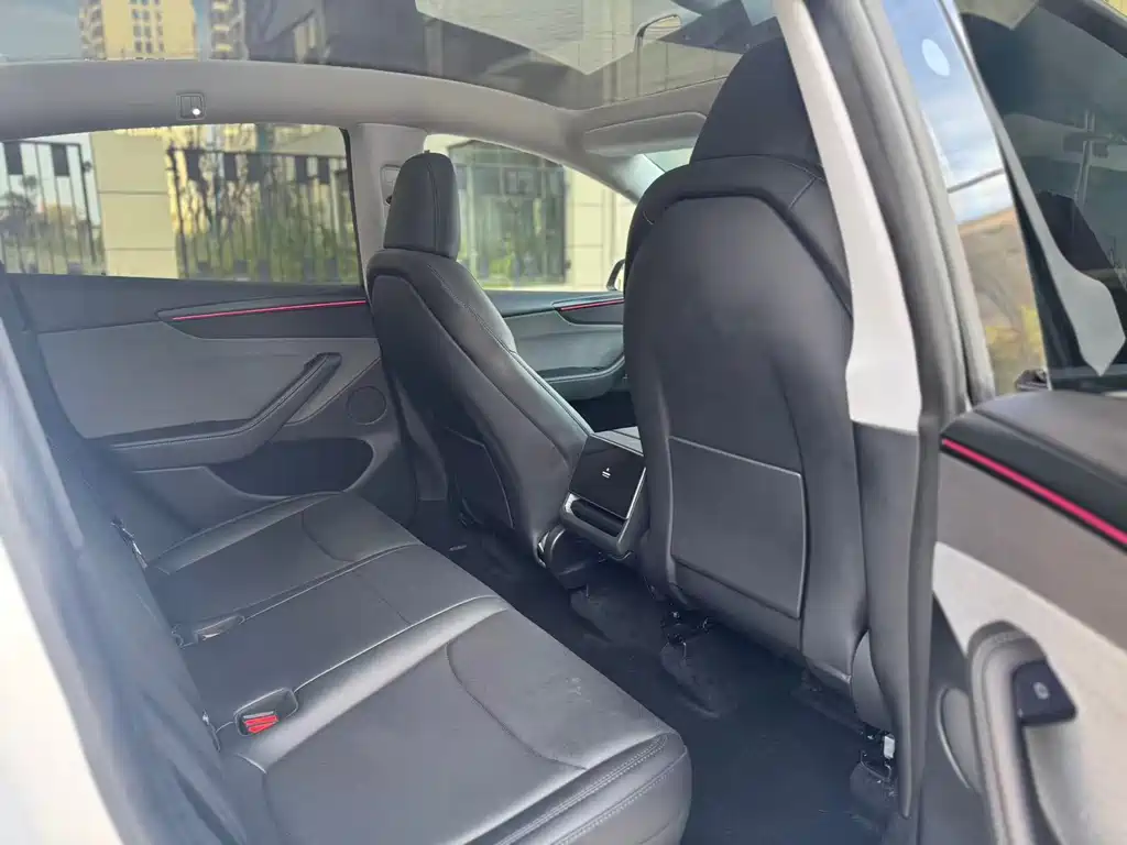Tesla Model Y — миниатюра 10