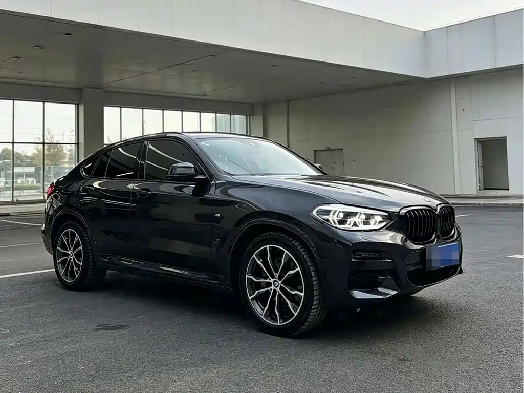 BMW X4 — миниатюра 2