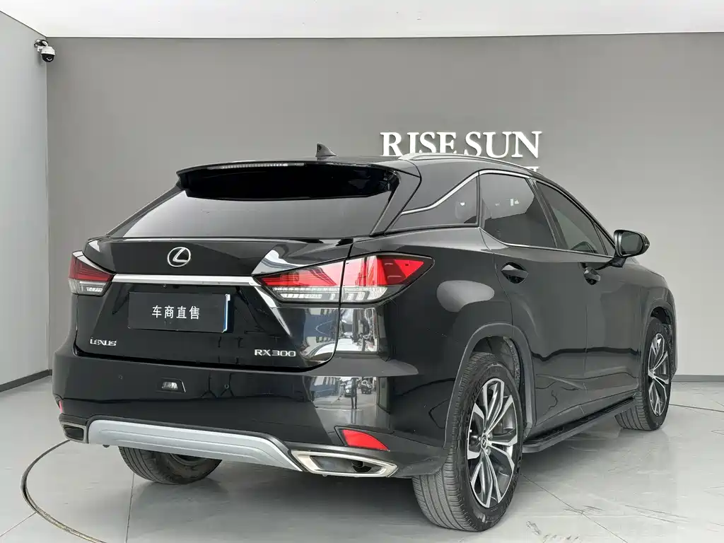 Lexus RX — миниатюра 8