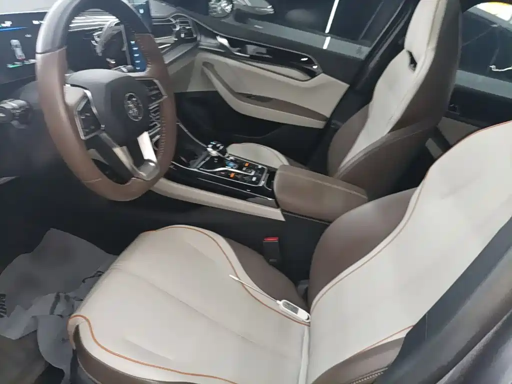 BYD Qin PLUS — миниатюра 15