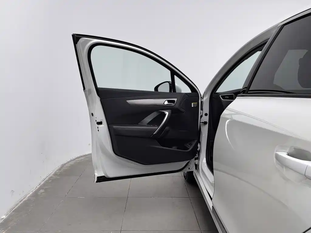 DS DS 4S — миниатюра 8
