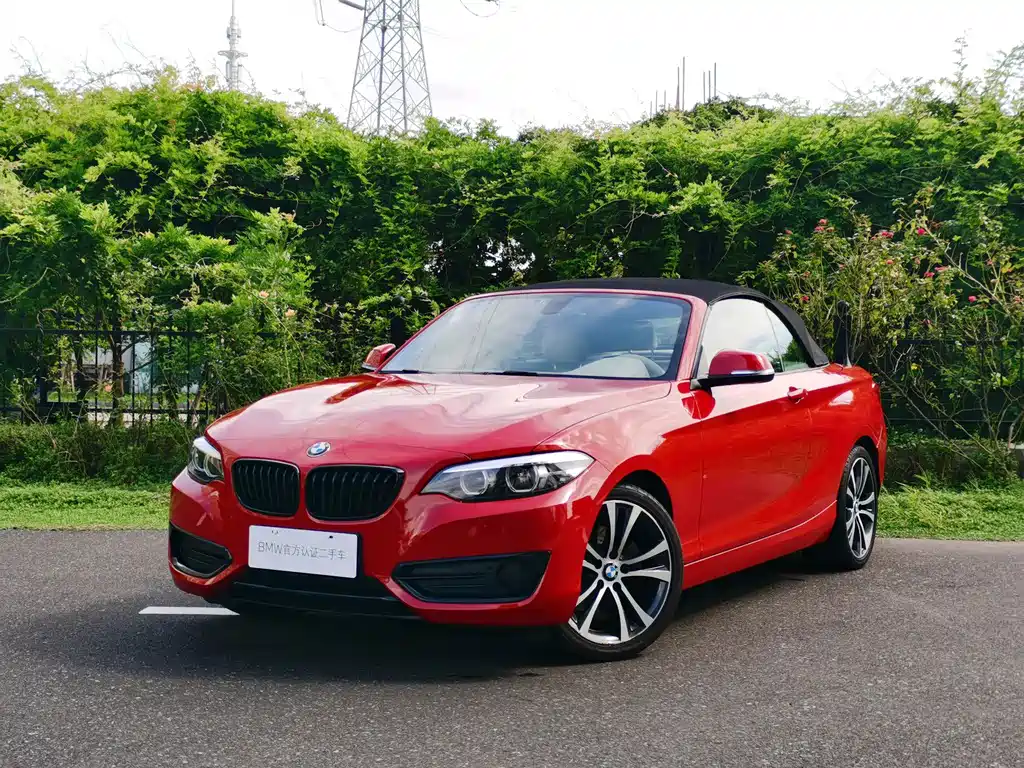 BMW 2 Series (Import) — миниатюра 6