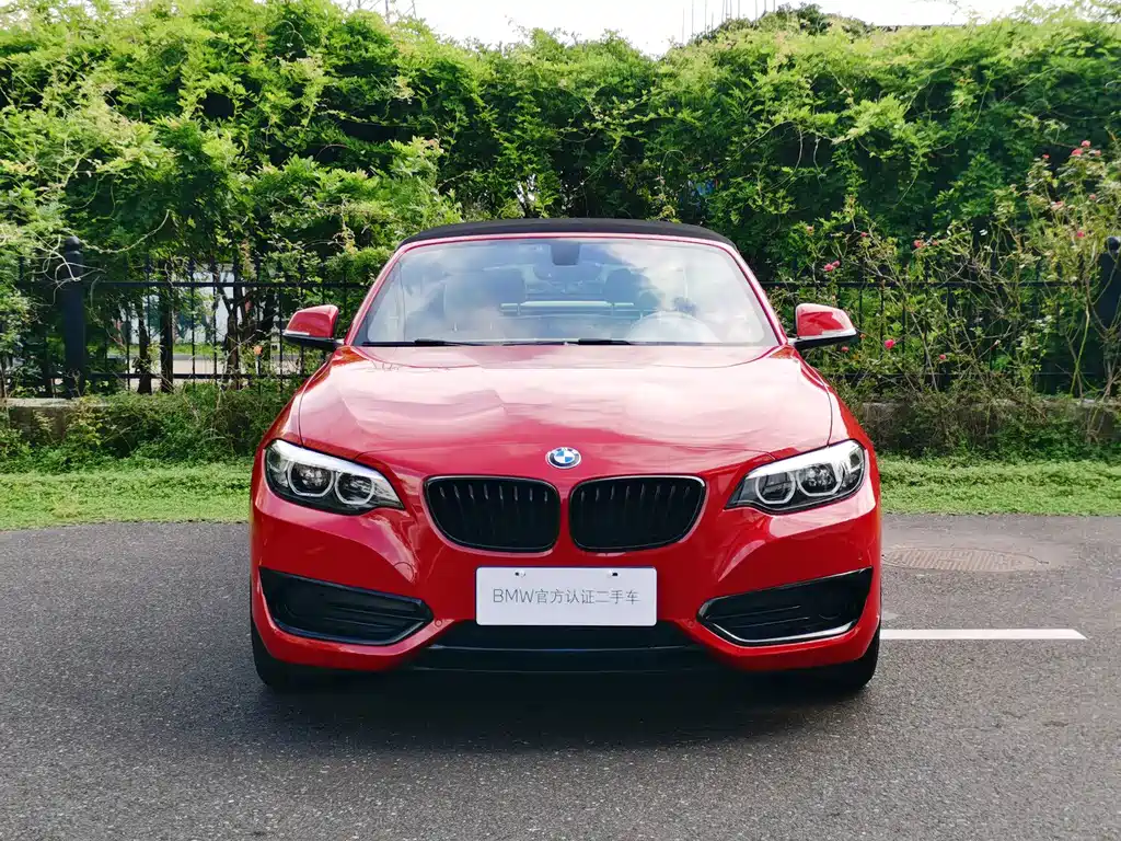 BMW 2 Series (Import) — миниатюра 8