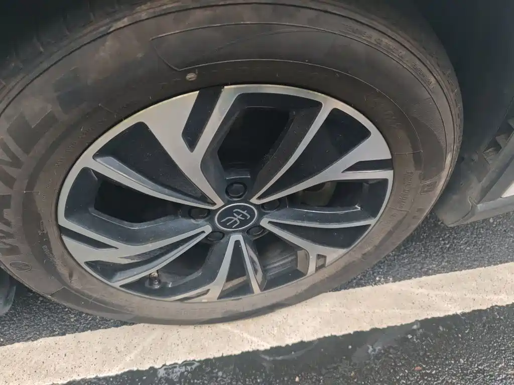BYD Pro New Energy — миниатюра 8