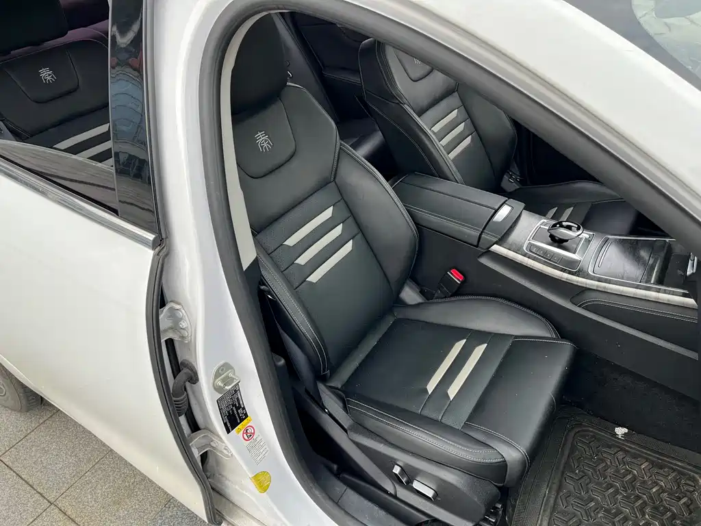 BYD Qin Pro NEV — миниатюра 12