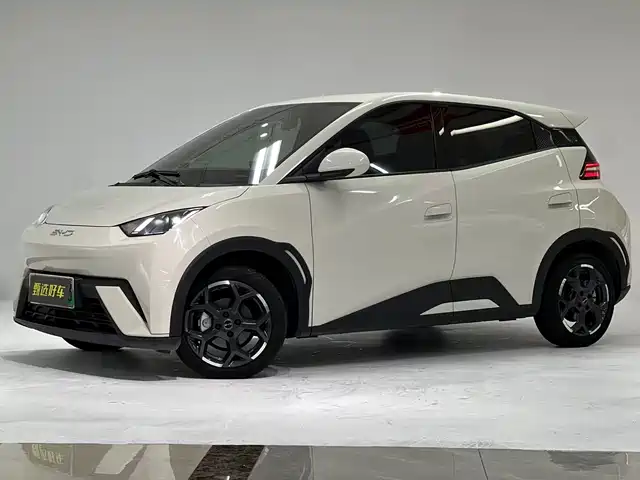 2025 BYD Seagull