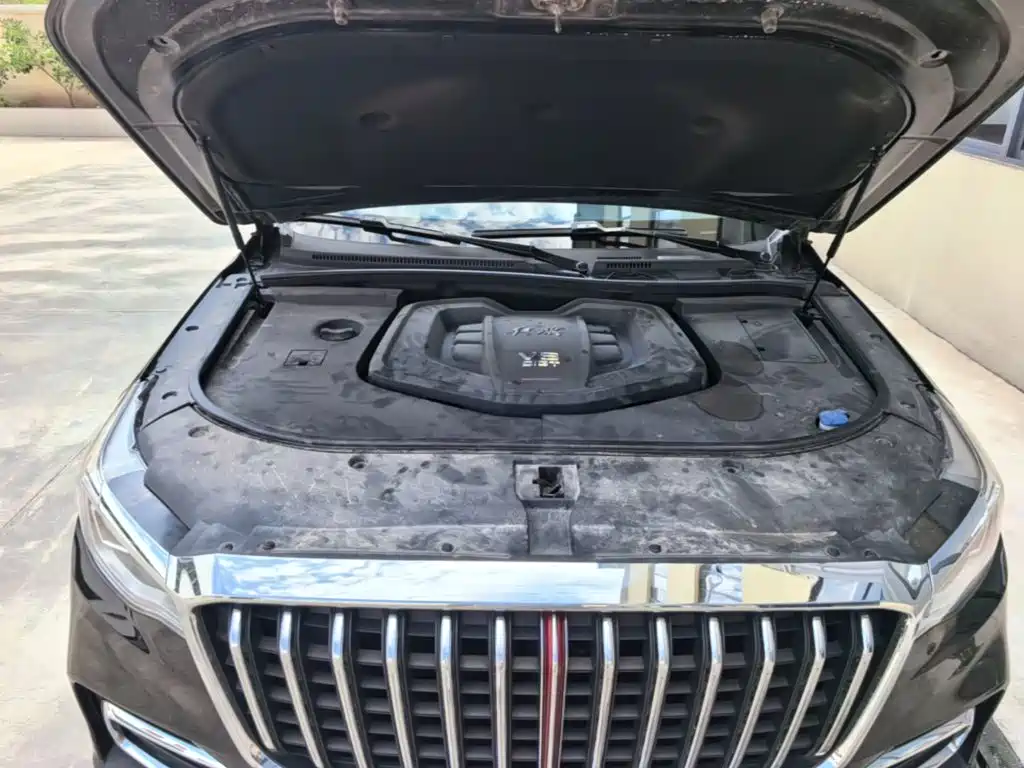 Hongqi Hongqi HS7 — миниатюра 20