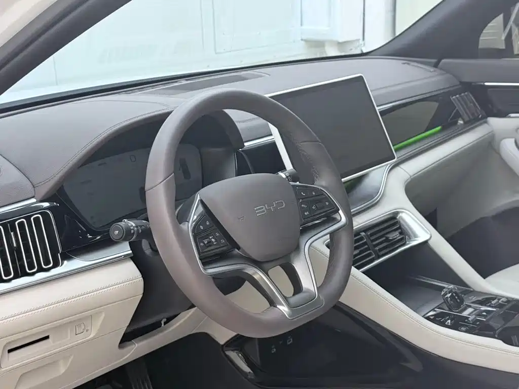 BYD PLUS New Energy — миниатюра 7