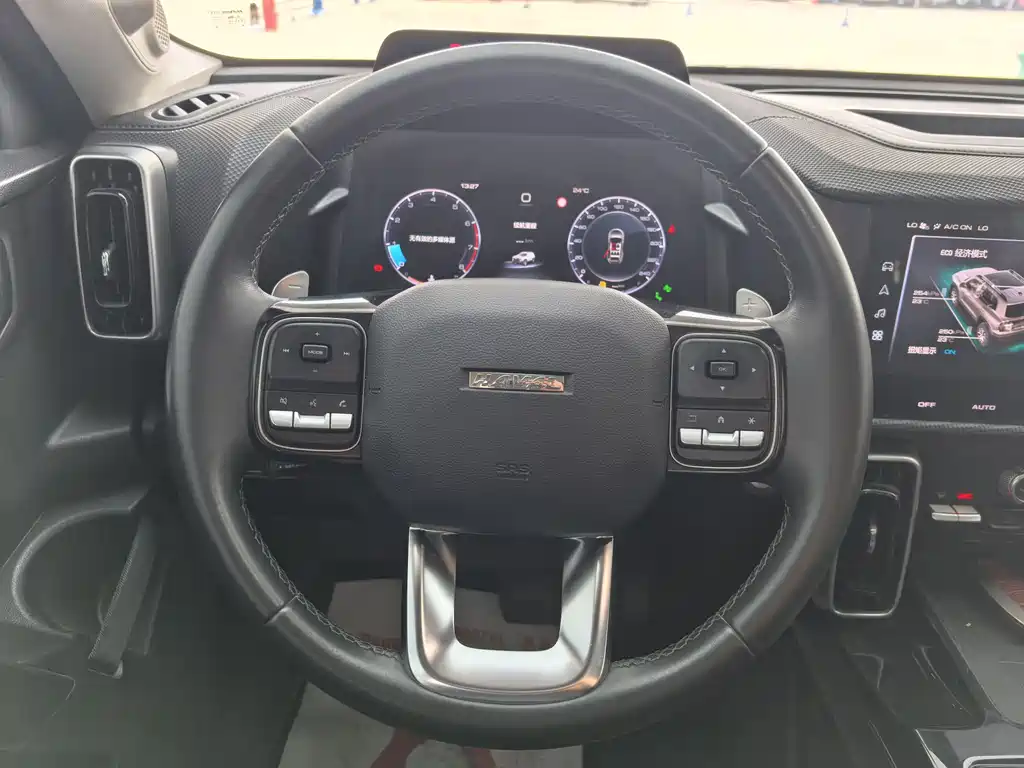 Haval Dargo 2.0T DCT 4WD Xiaotian Dog Edition, фото 13