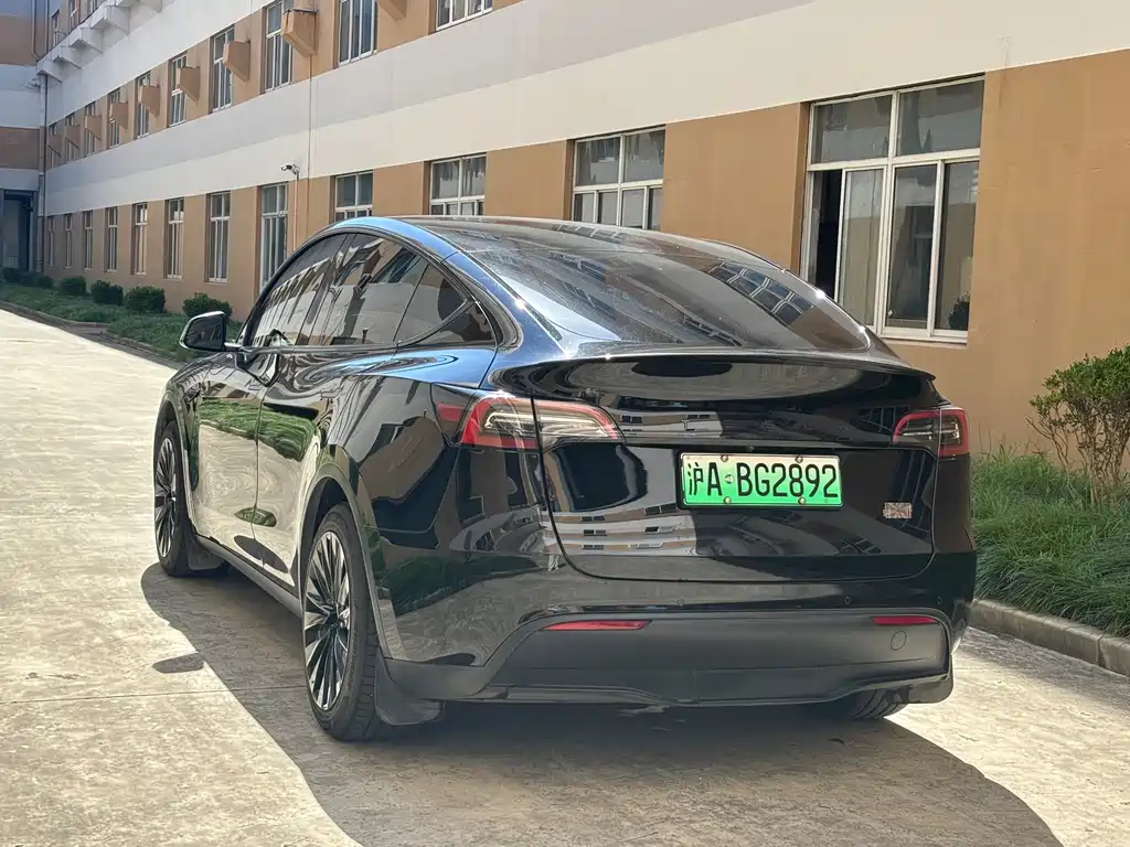 Tesla Model Y — миниатюра 15