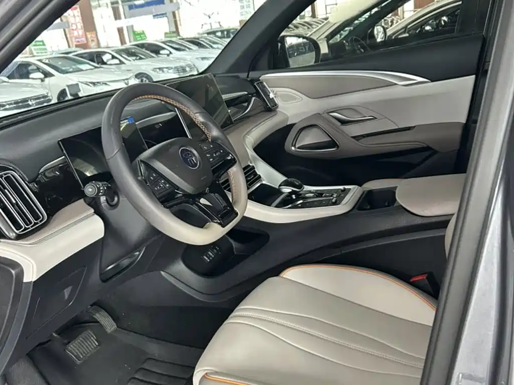 BYD Pro New Energy — миниатюра 6