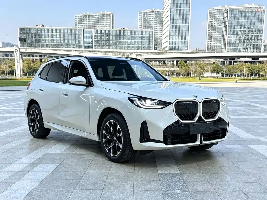 BMW X3 — миниатюра 3