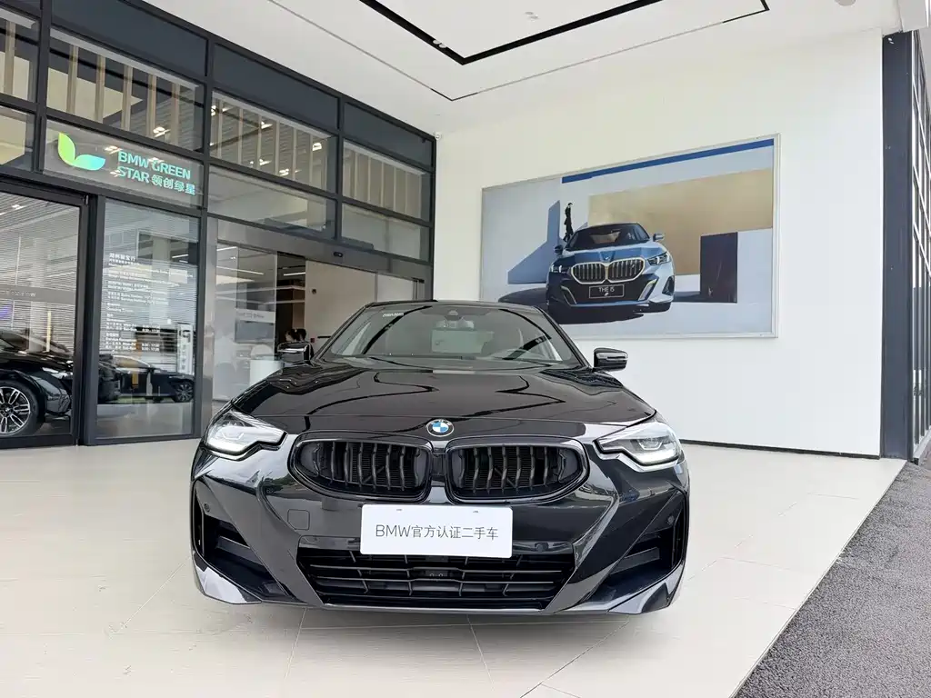 BMW 2 Series (Import) — миниатюра 3