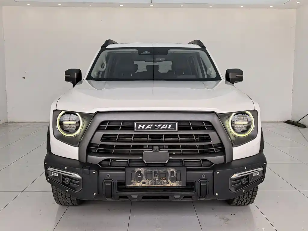 Haval Dargo 2.0T DCT 4WD Xiaotian Dog Edition, фото 2