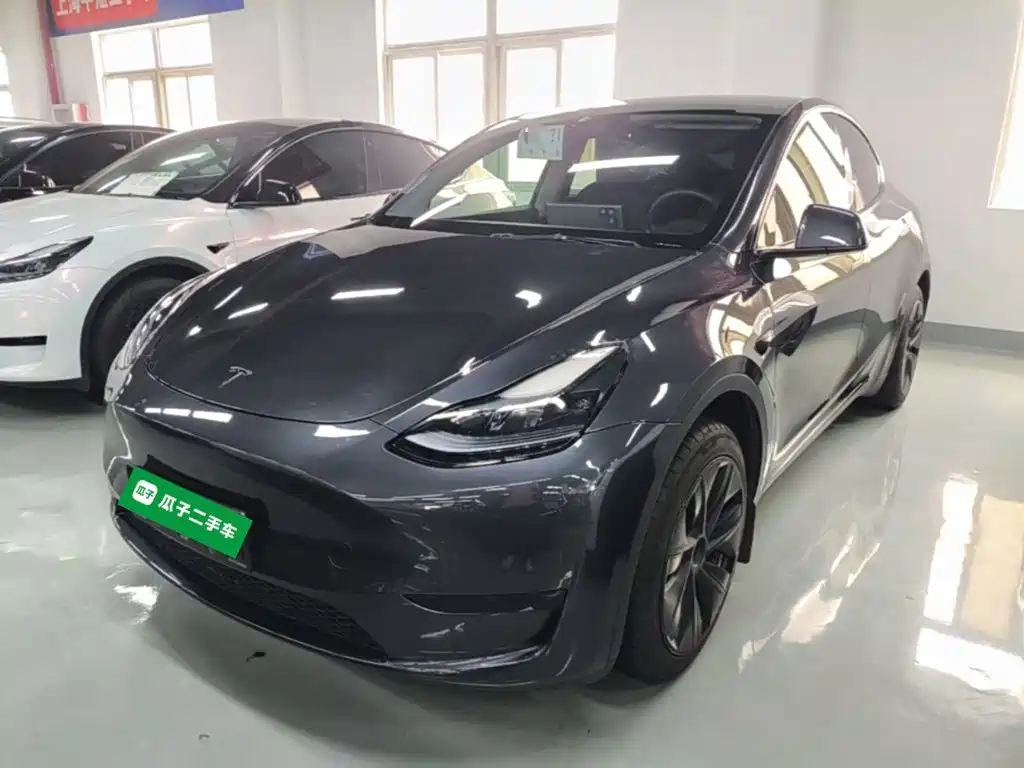 Tesla Model Y — миниатюра 2