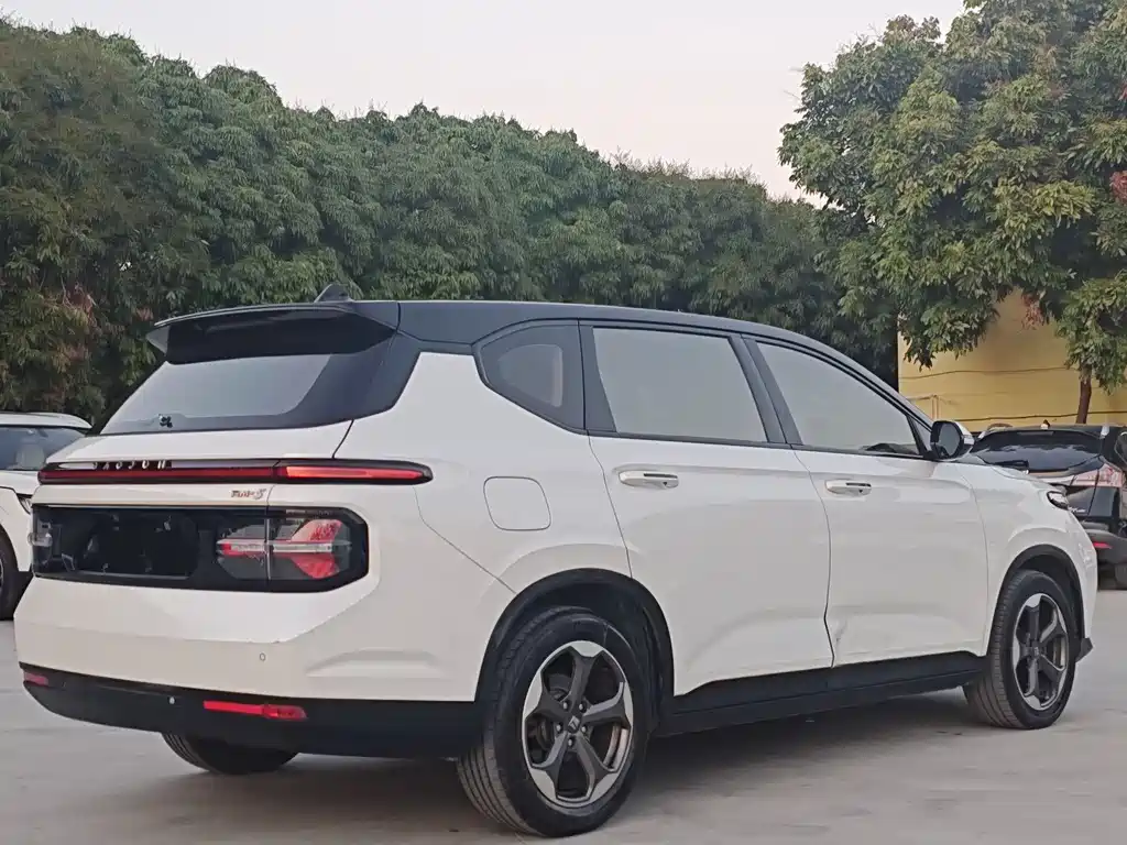 BAOJUN RM 5