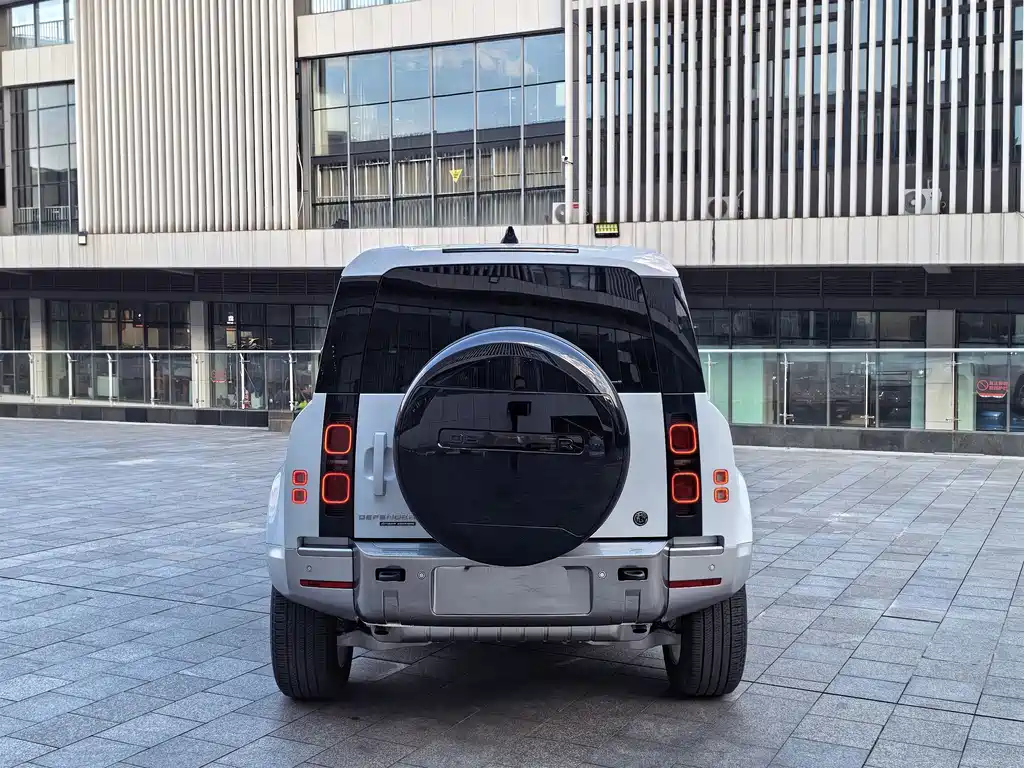 Land Rover Defender 90 2.0T P300 Tiger Power Mighty Heart Edition, фото 16