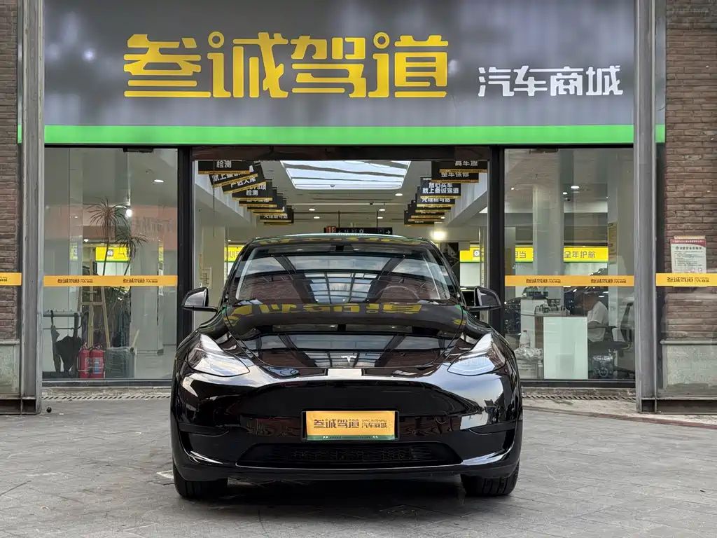 Tesla Model Y — миниатюра 2