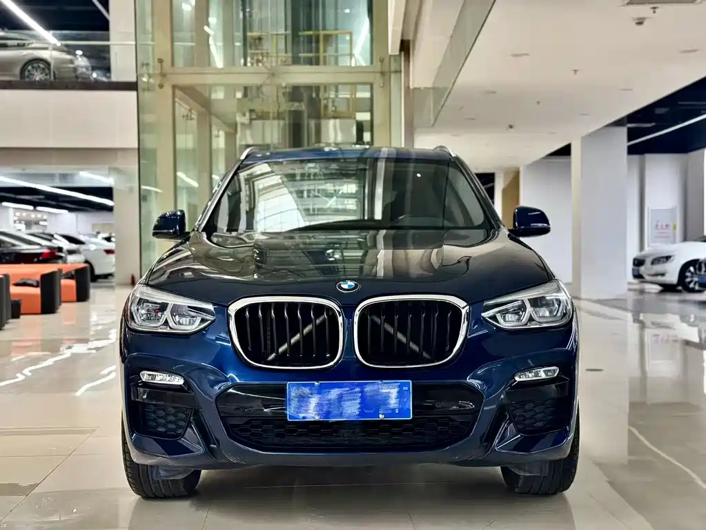 BMW X3 — миниатюра 2