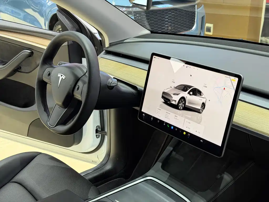 Tesla Model Y — миниатюра 11