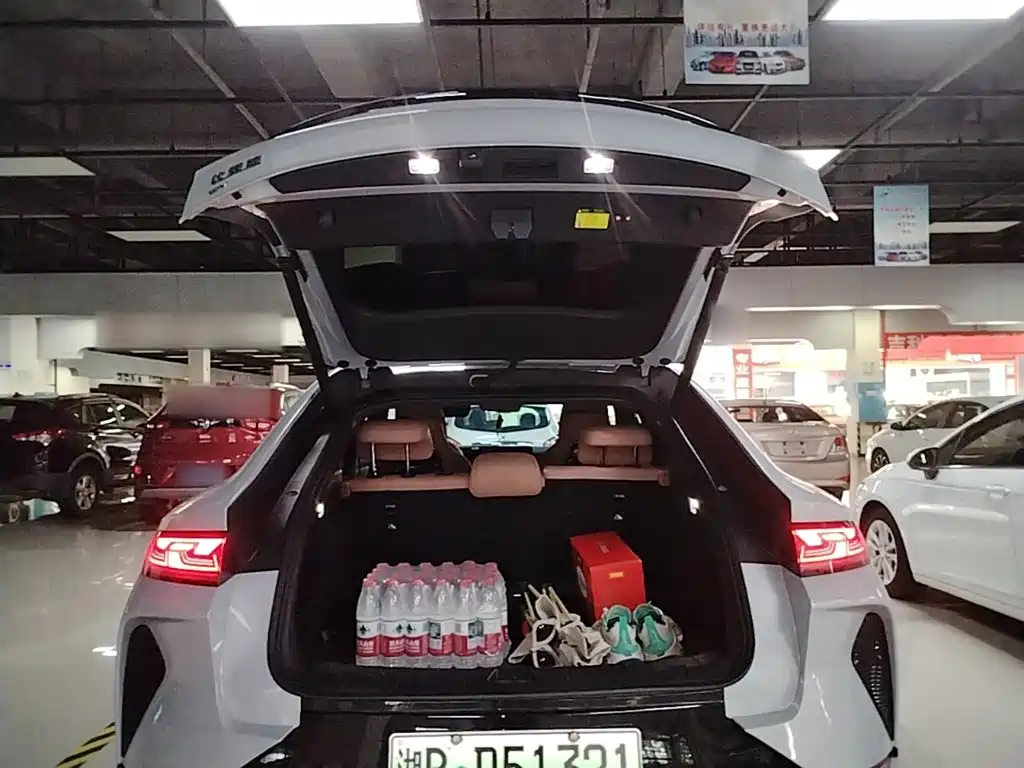 BYD L EV — миниатюра 19