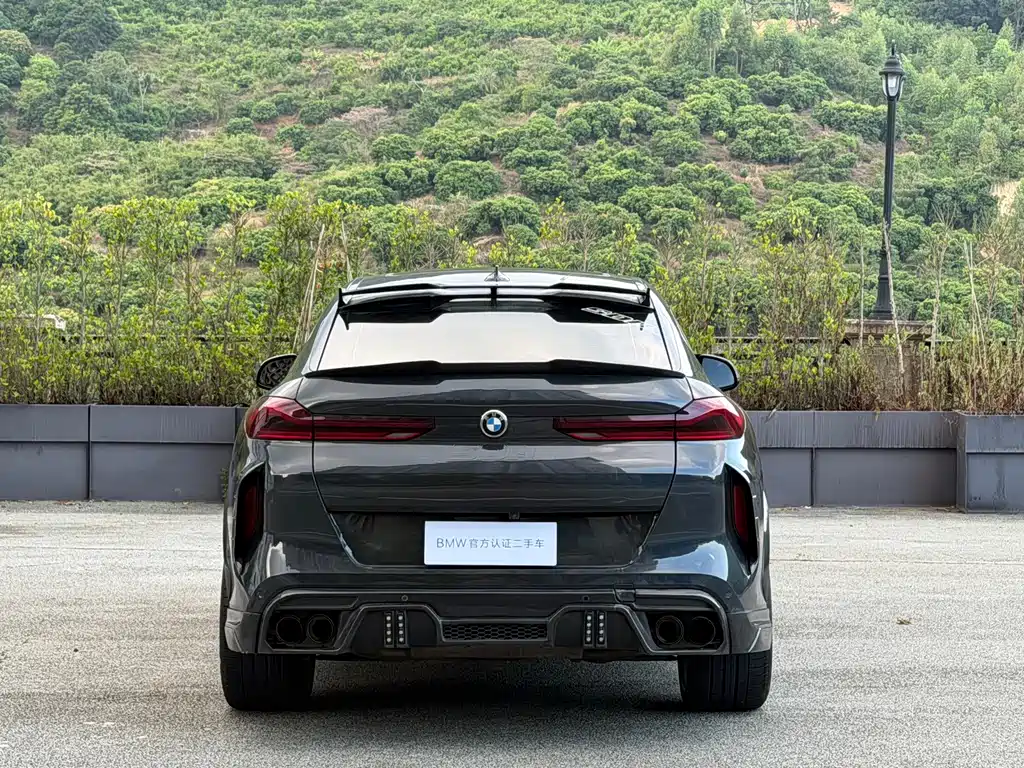 BMW X6 — миниатюра 6