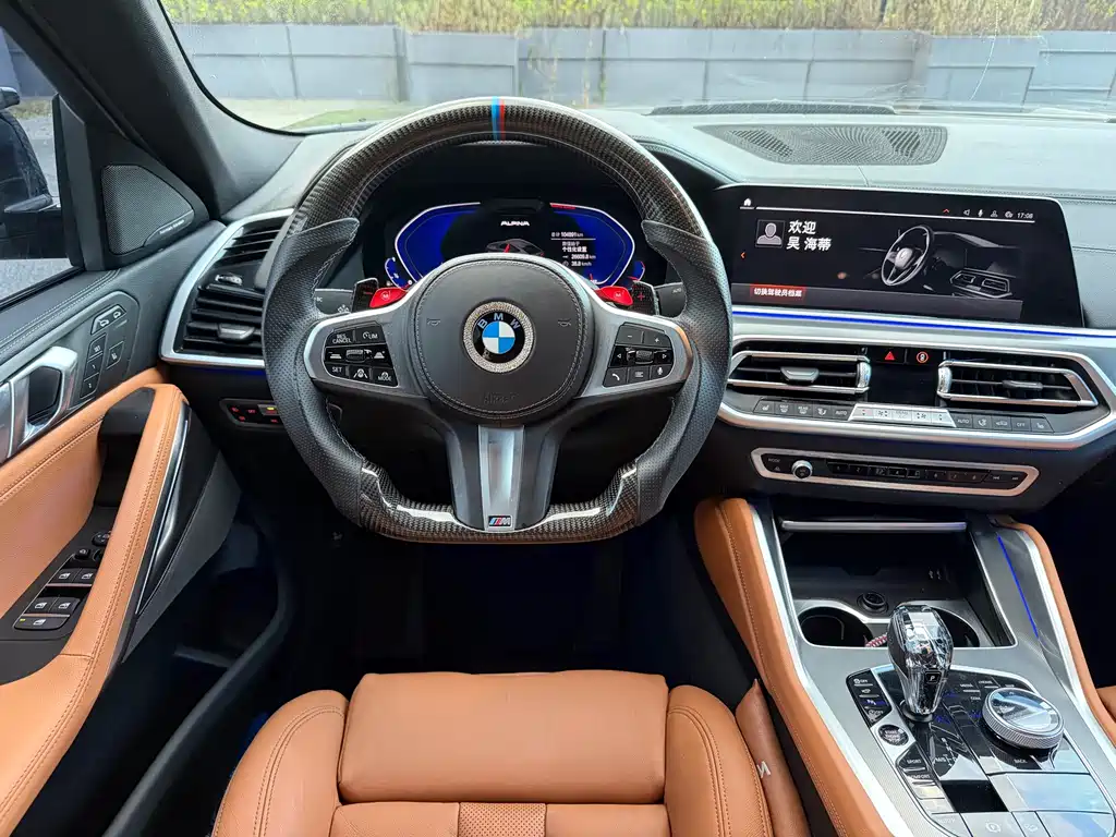 BMW X6 — миниатюра 13