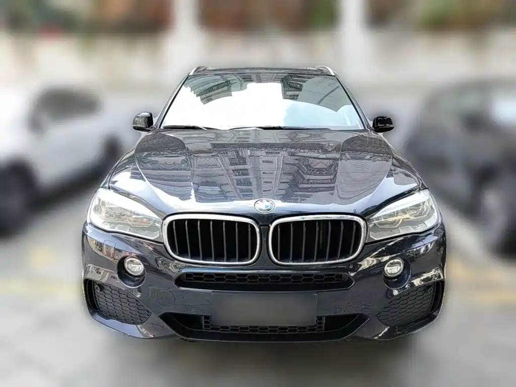 BMW X5 (Import) — миниатюра 5