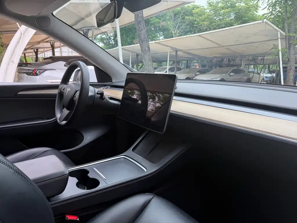 Tesla Model Y — миниатюра 7