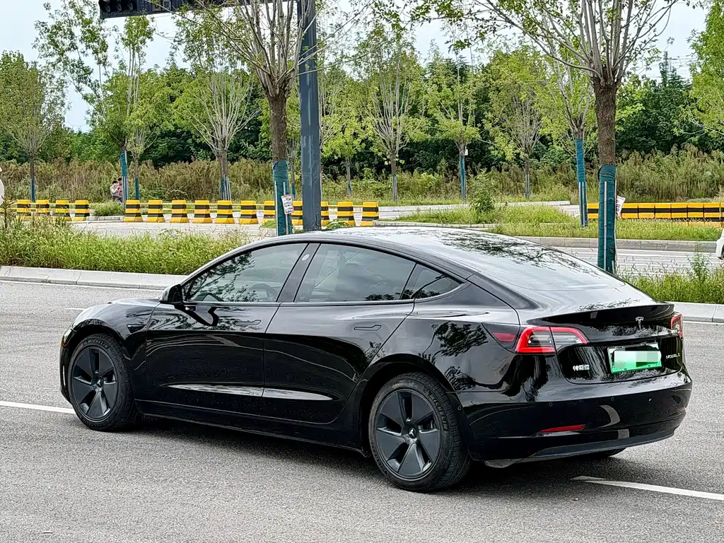 Tesla Model 3 — миниатюра 6