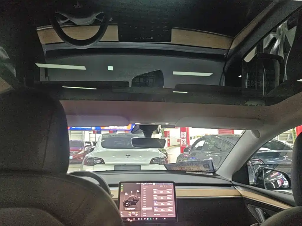 Tesla Model Y — миниатюра 18