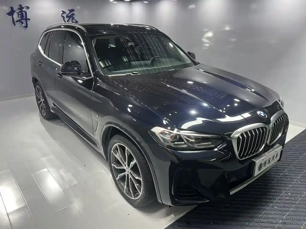 BMW X3 — миниатюра 3