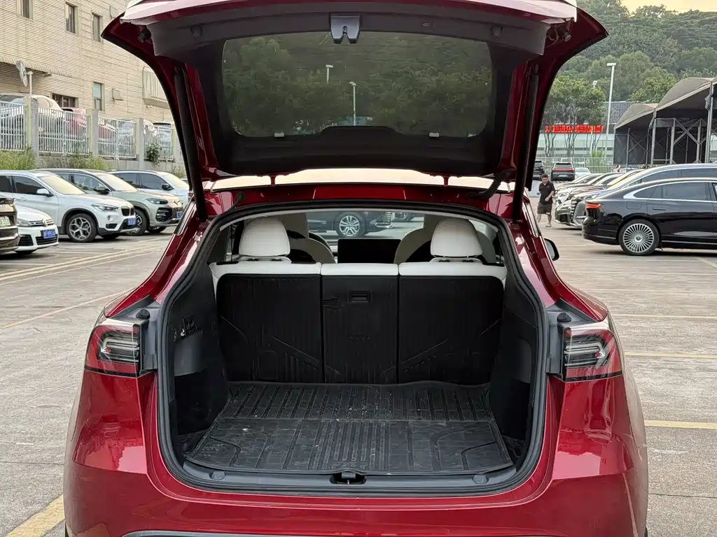 Tesla Model Y — миниатюра 15