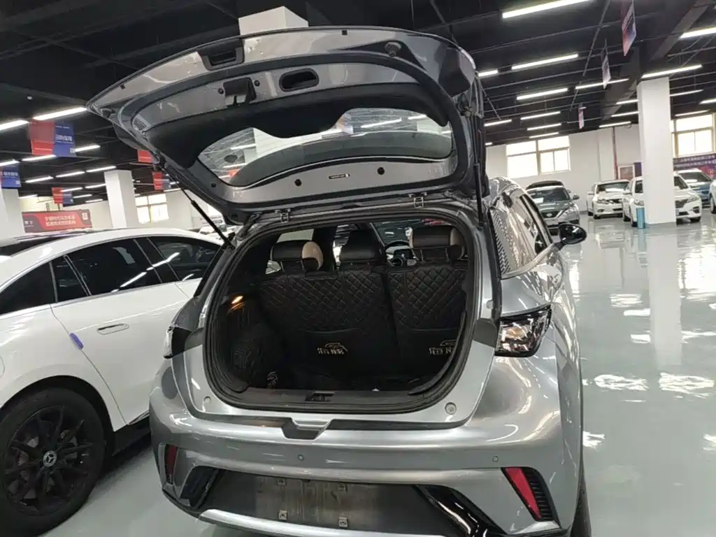 BYD Dolphin — миниатюра 19