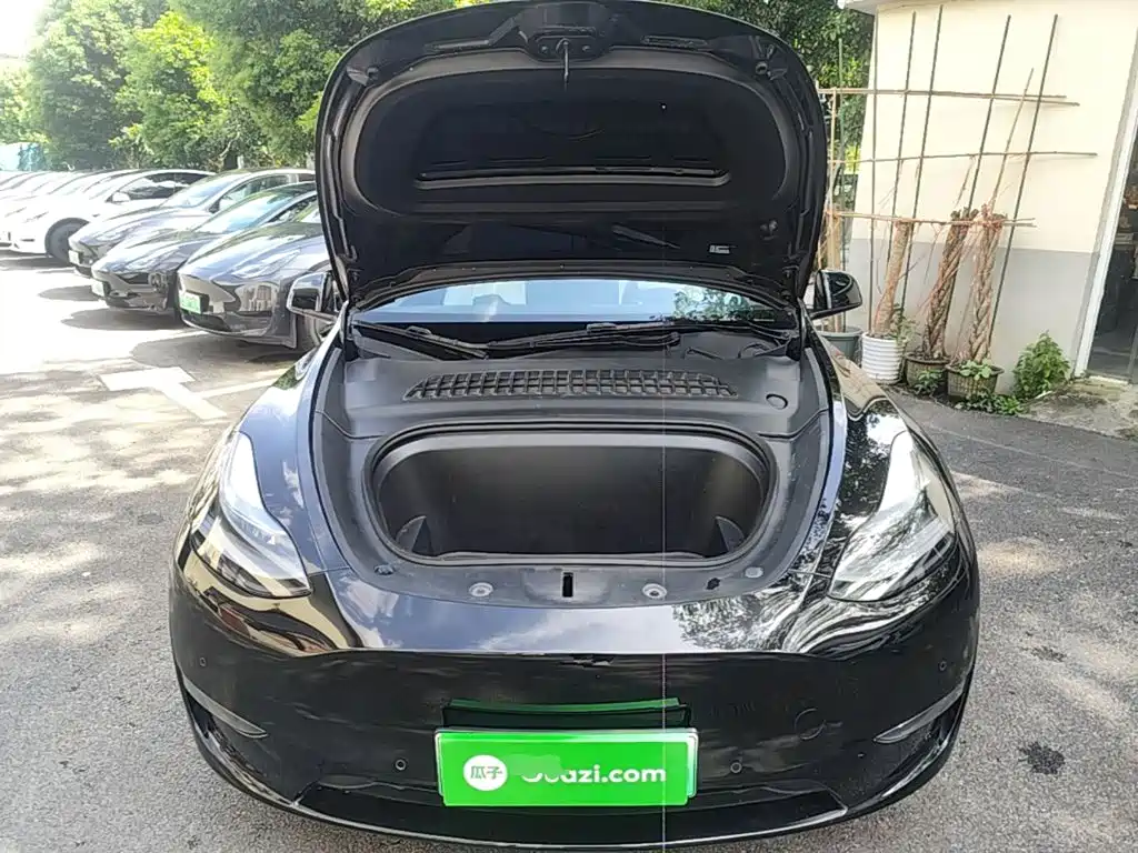 Tesla Model Y — миниатюра 20