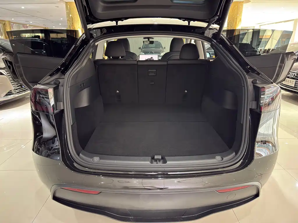 Tesla Model Y — миниатюра 15