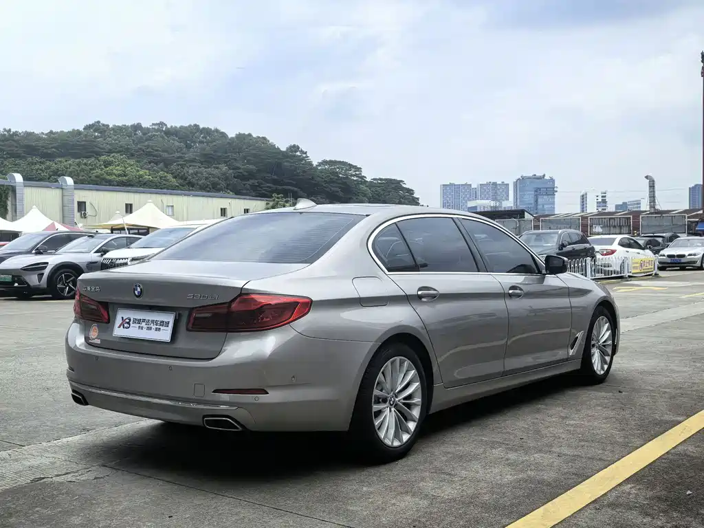 BMW 5 Series 5 2020 530Li Premium Luxury