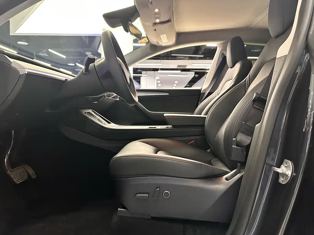 Tesla Model Y — миниатюра 4