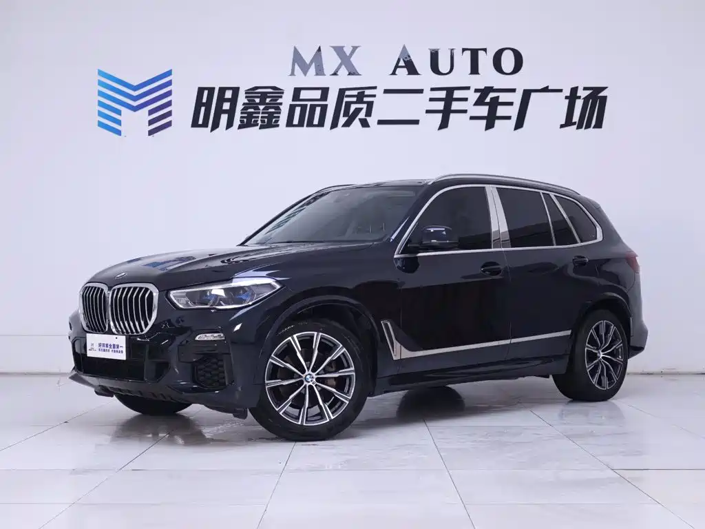 BMW X5 (Import) — миниатюра 2
