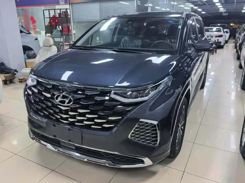 Hyundai Custo — миниатюра 2