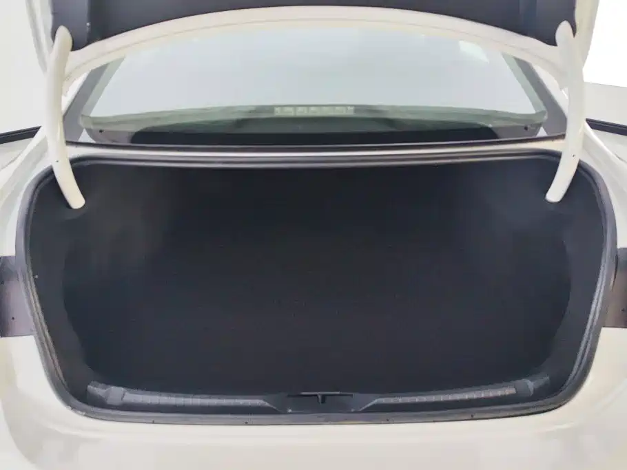 Volkswagen Lamando — миниатюра 4