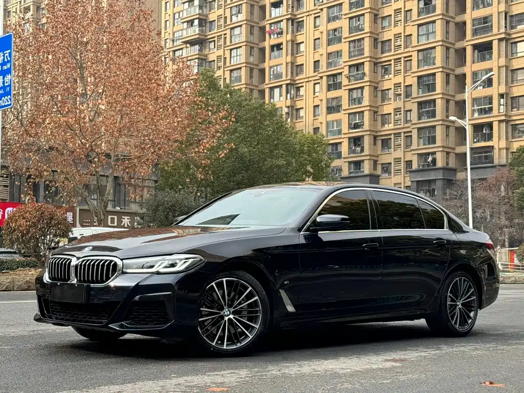 BMW 5 Series — миниатюра 2