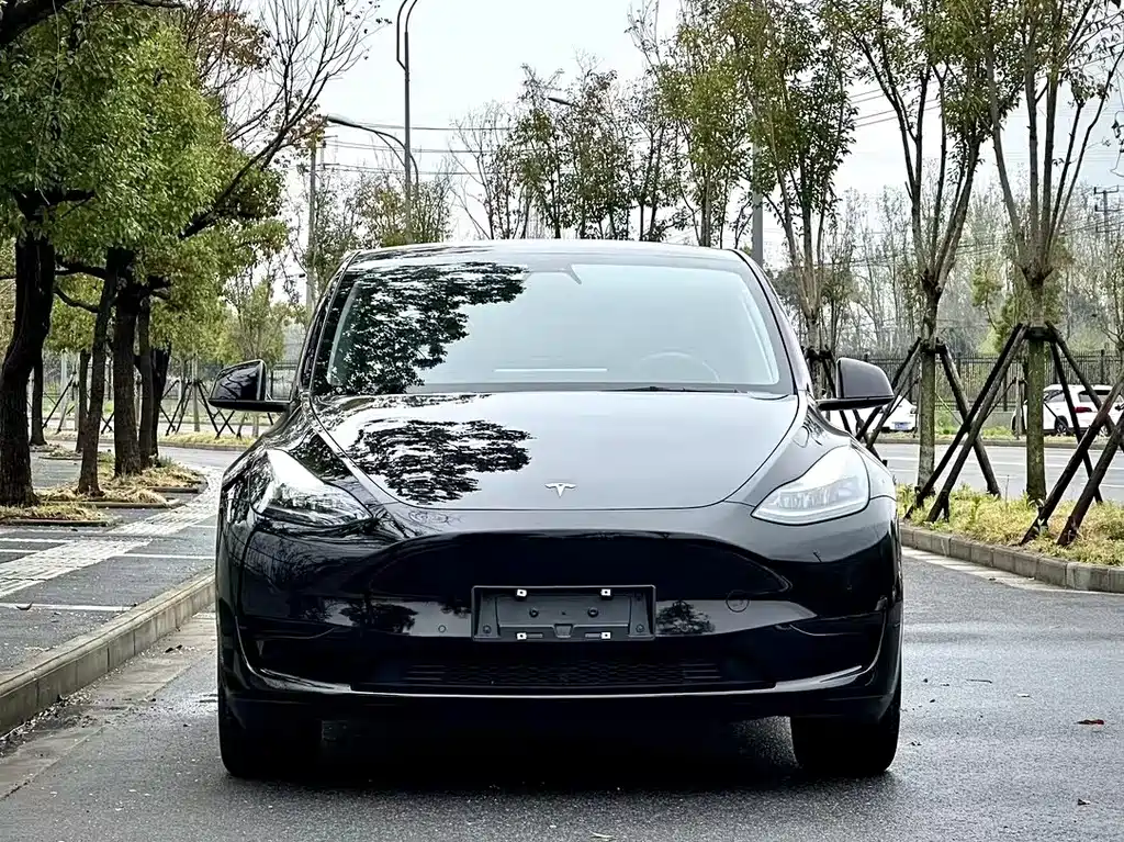 Tesla Model Y — миниатюра 2
