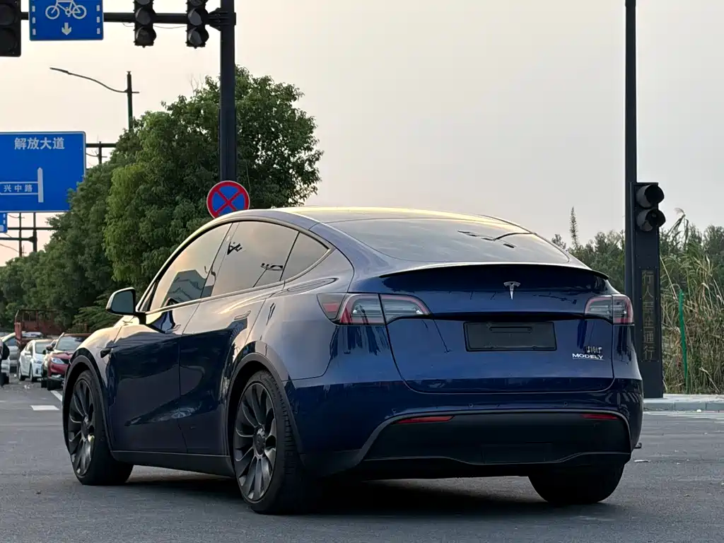 Tesla Model Y — миниатюра 4