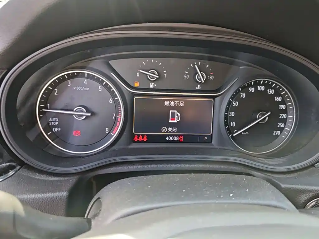 Buick Regal — миниатюра 12