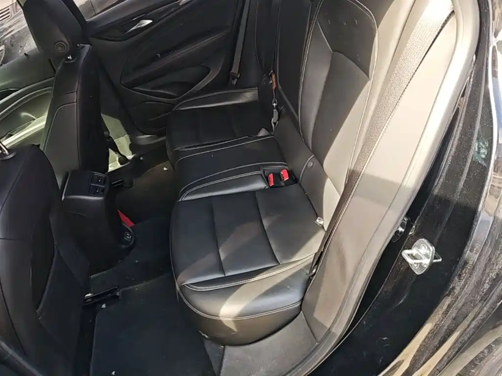 Buick Regal — миниатюра 17