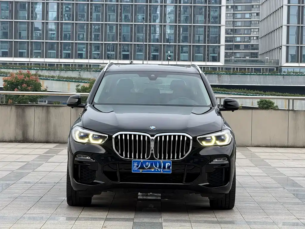 BMW X5 (Import) — миниатюра 2