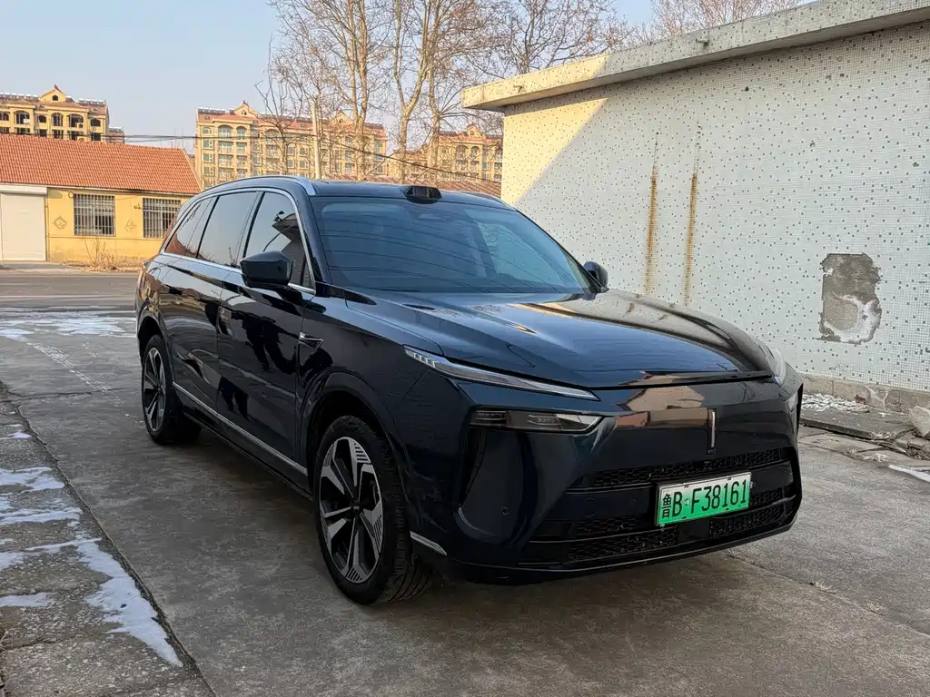 WEI PAI WEI BRAND BLUE MOUNTAIN