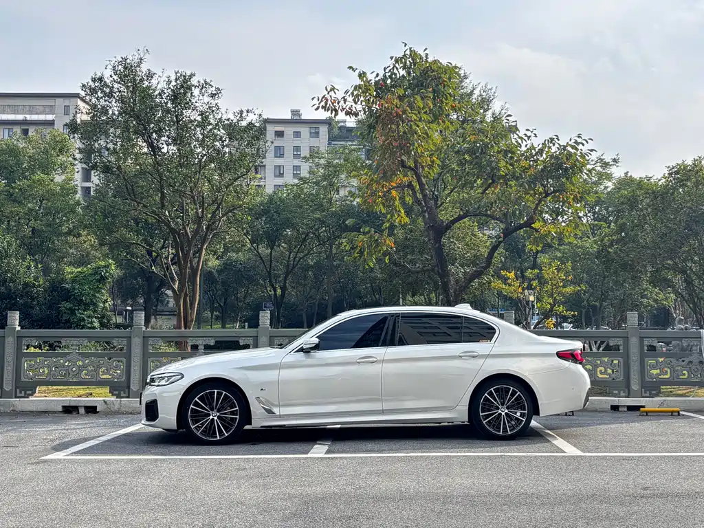 BMW 5 Series — миниатюра 3